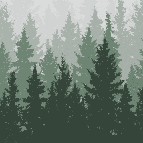 Stoffprobe Magic Forest (15438250672513)